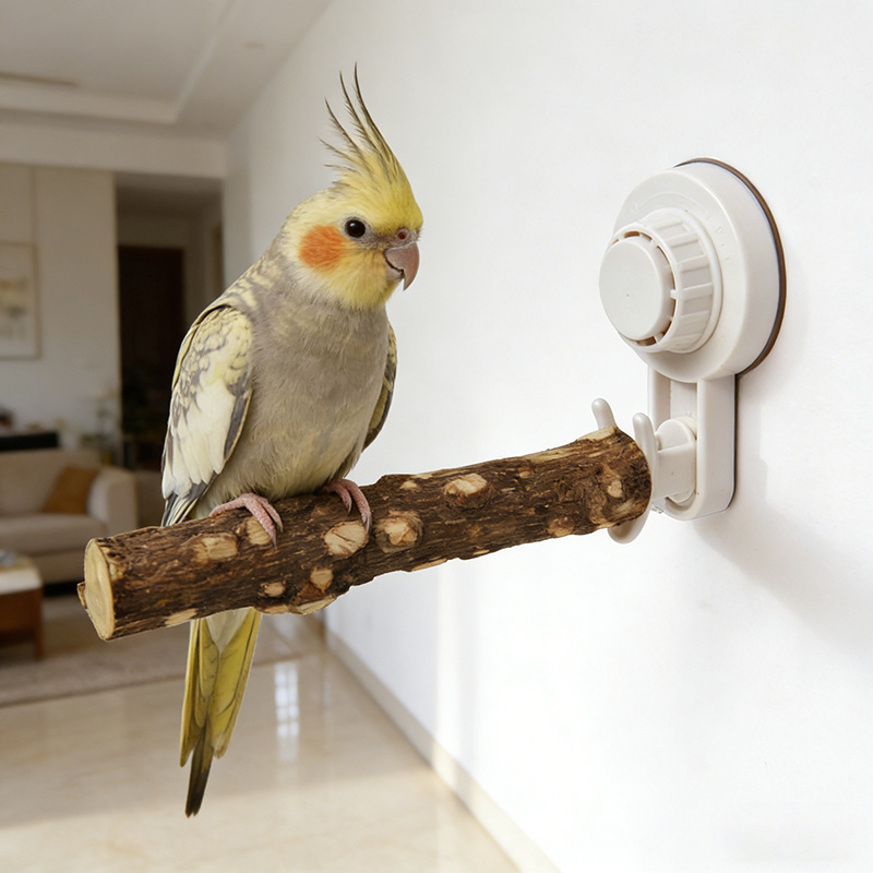 Parrot Stand with Suction Cup  - Woodworking Joint review and price