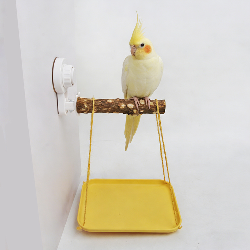 Parrot Stand with Suction Cup  - Woodworking Joint review and price